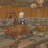Capture de World of Warcraft