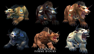 Forme d'Ours des Taurens Forme d'Ours des Taurens