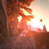 Capture de World of Warcraft