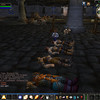 Capture de World of Warcraft