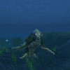 Capture de World of Warcraft