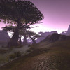 Capture de World of Warcraft