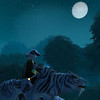 Capture de World of Warcraft