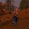 Capture de World of Warcraft