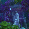 Capture de World of Warcraft