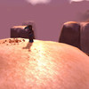 Capture de World of Warcraft