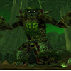 Capture de World of Warcraft