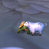 Capture de World of Warcraft