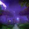 Capture de World of Warcraft