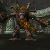 Capture de World of Warcraft