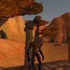 Capture de World of Warcraft