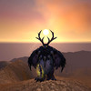 Capture de World of Warcraft