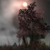 Capture de World of Warcraft