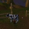 Capture de World of Warcraft