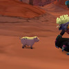 Capture de World of Warcraft