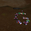 Capture de World of Warcraft