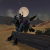 Capture de World of Warcraft