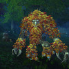 Capture de World of Warcraft