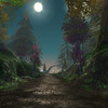 Capture de World of Warcraft