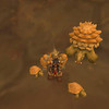 Capture de World of Warcraft