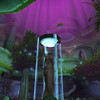 Capture de World of Warcraft