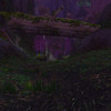 Capture de World of Warcraft