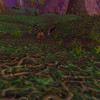 Capture de World of Warcraft