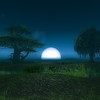 Capture de World of Warcraft
