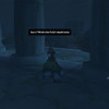 Capture de World of Warcraft