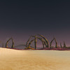 Capture de World of Warcraft