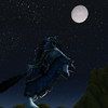Capture de World of Warcraft