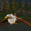 Capture de World of Warcraft