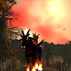 Capture de World of Warcraft