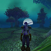 Capture de World of Warcraft