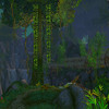Capture de World of Warcraft