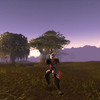 Capture de World of Warcraft