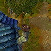 Capture de World of Warcraft