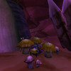 Capture de World of Warcraft