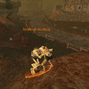 Capture de World of Warcraft