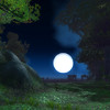Capture de World of Warcraft