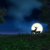 Capture de World of Warcraft
