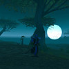 Capture de World of Warcraft