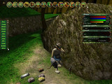 Capture