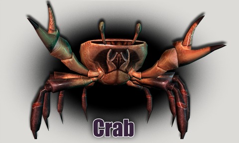 Wurm Online - Du crabe au menu de Wurm Online