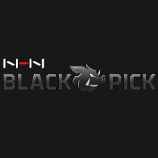Logo de BlackPick Corporation Logo de BlackPick Corporation