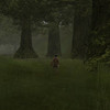 Capture de Gods and Heroes: Rome Rising