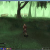 Capture de Gods and Heroes: Rome Rising