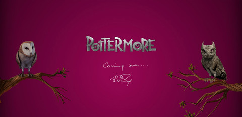 Warner Interactive - Pottermore, un projet transmedia entre jeu en ligne et énigmes réelles ?