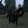 Un helhaxa pr�sente � Mularn sa licorne des t�n�bres