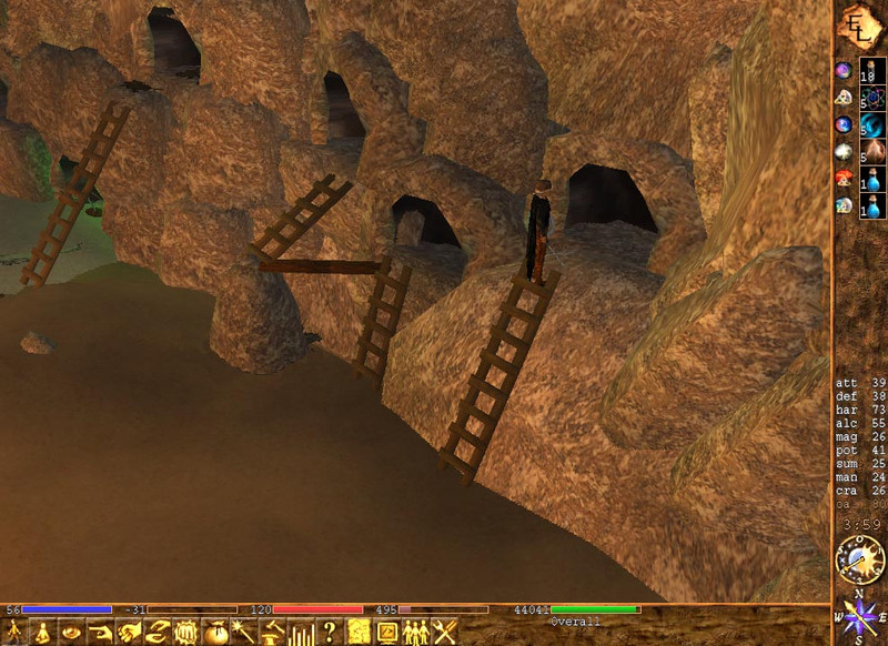 Capture de Eternal Lands